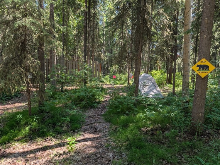 Camping - Image 4