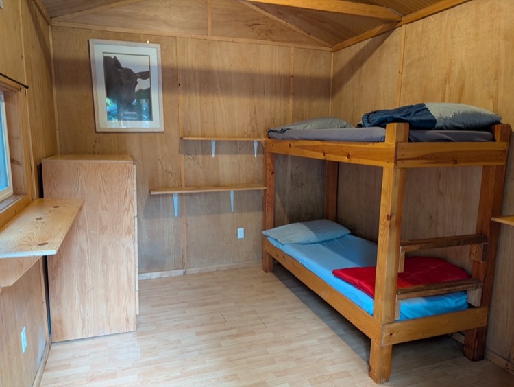 Trapper - Image 2